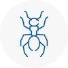 Ant Removals In Newton Abbot