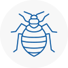 Bed Bug Extermination In Newton Abbot