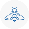 Bee Nest Removal Newton Abbot