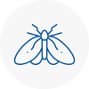 Moth Control Specialists In Newton Abbot