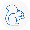 Newton Abbot Rodent Removals